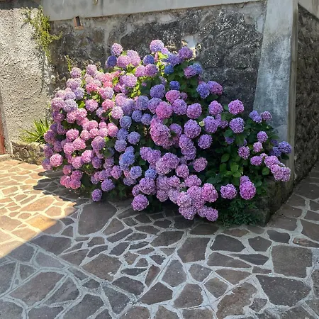 Villa Irene *